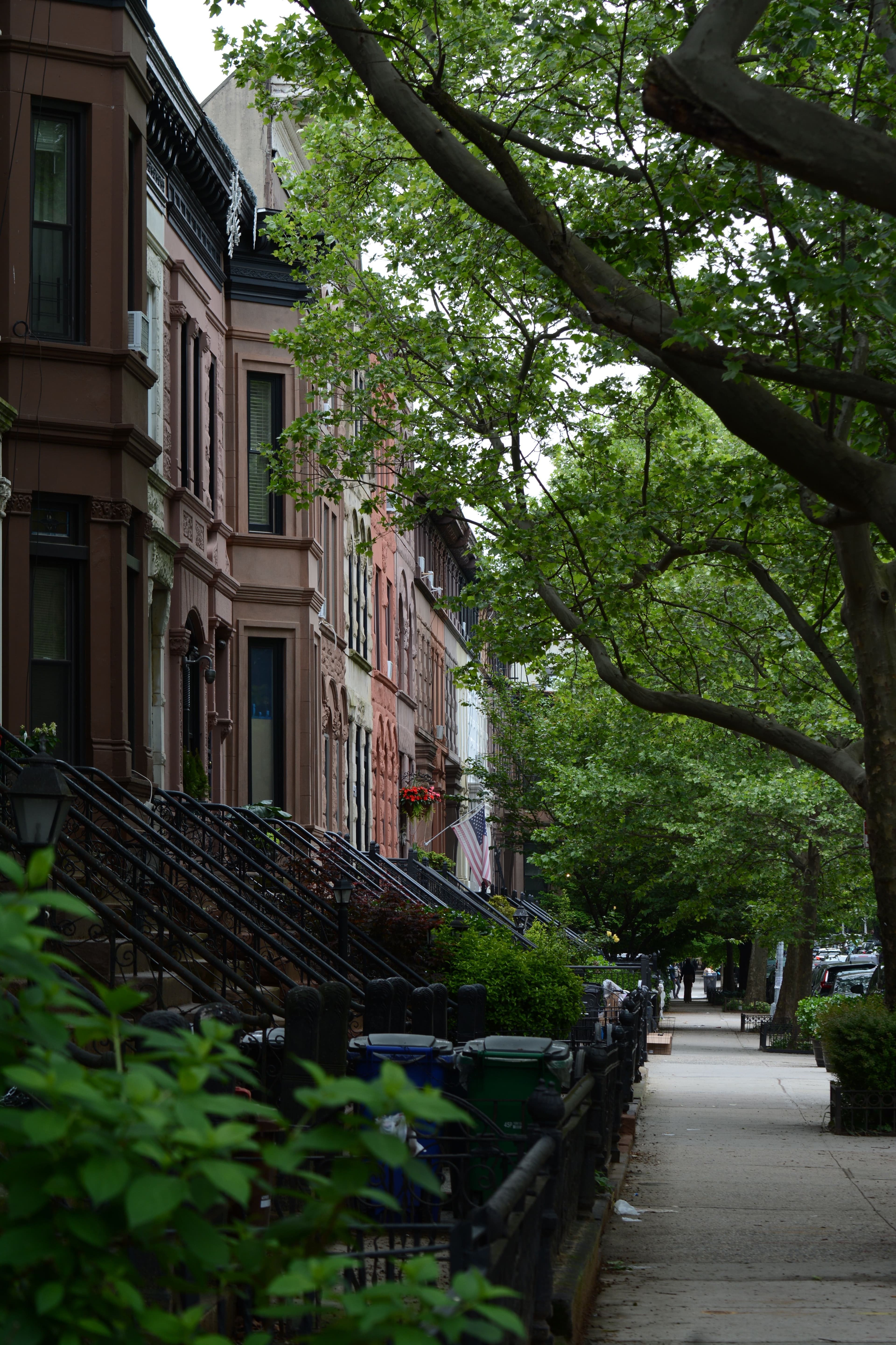New York City street life